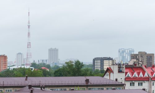 DSC01203