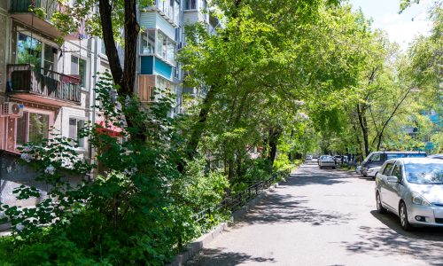DSC09971